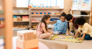 Montessori vs Traditional Education A Comparative Insight